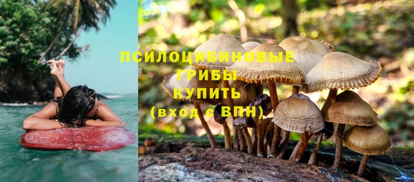 герыч Алзамай